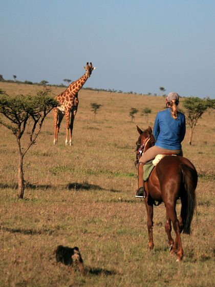 Horse Back Safaris on a Kiboko safari