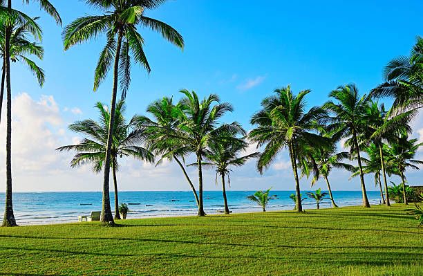 BEACH, JUNGLE OR DESERT? PICKING YOUR PERFECT AFRICAN ADVENTURE!