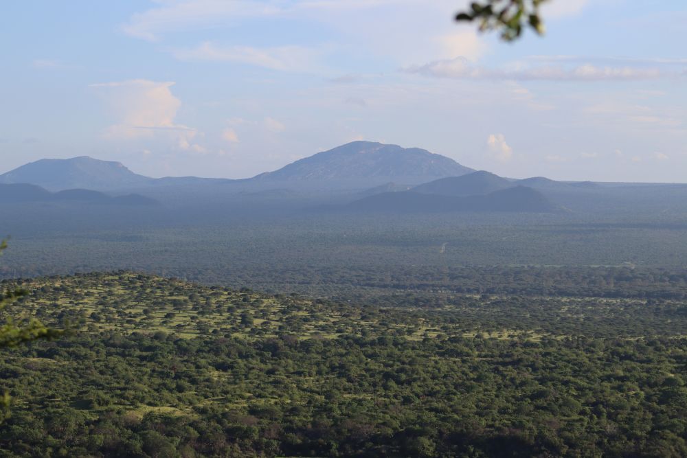 COMMON SCAMS IN AFRICAN TOURIST HOTSPOTS AND HOW TO AVOID THEM